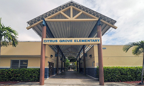 Citrus Grove